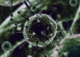 Bacterial microorganisms as a cause of prostatitis