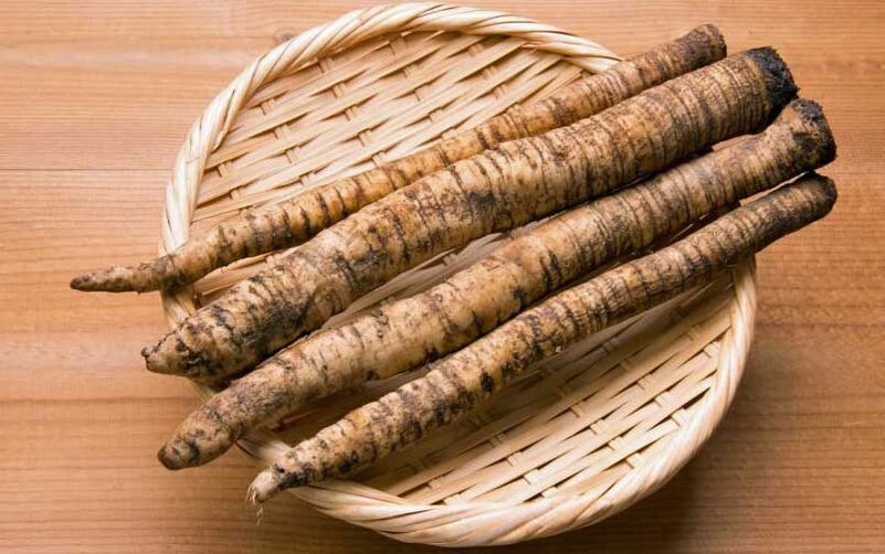 horseradish root for the treatment of prostatitis